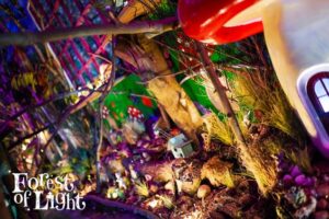 Forest of Light Interior - Beamish Hall Hotel
